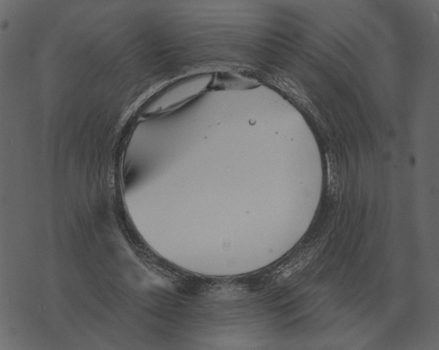 X0000073450348200608251711