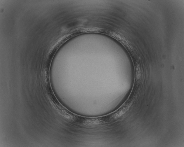 X0000073450351200608251711