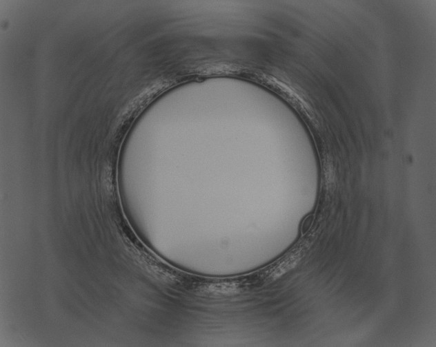 X0000073450353200608251711