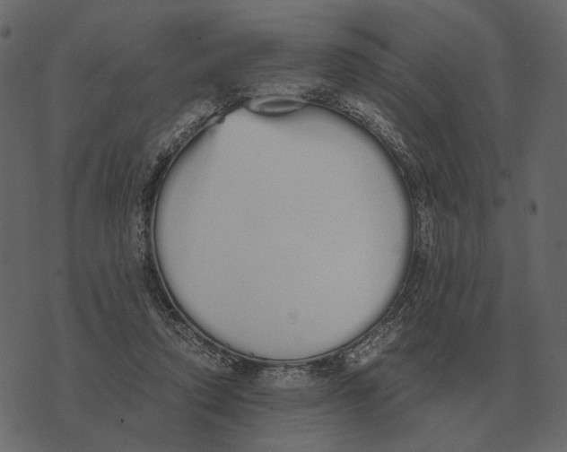 X0000073450354200608251711