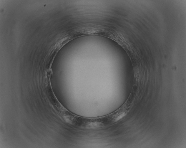X0000073450360200608251712