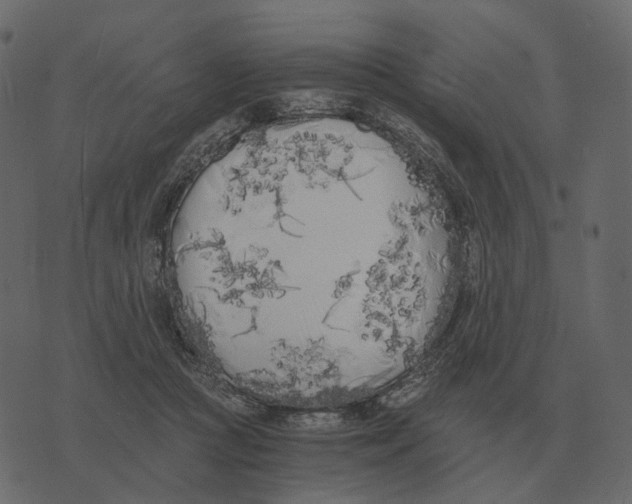 X0000073450361200608251712