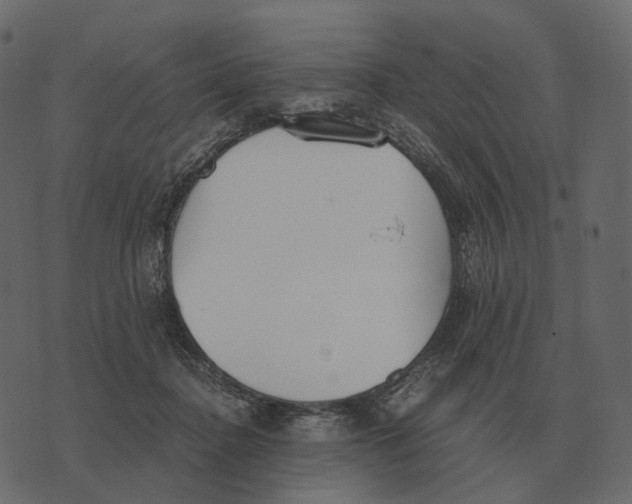 X0000073450364200608251712