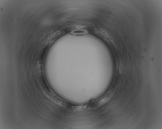 X0000073450366200608251712