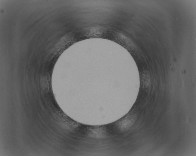 X0000073450370200608251712