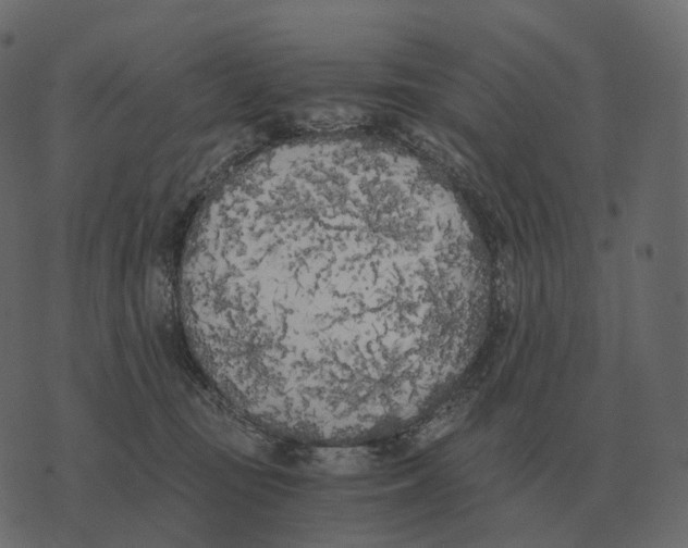 X0000073450371200608251712