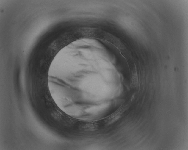 X0000073450383200608251712