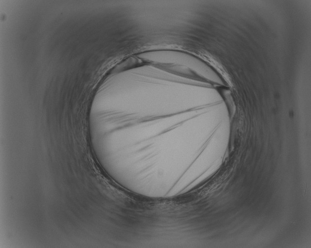 X0000073450385200608251711