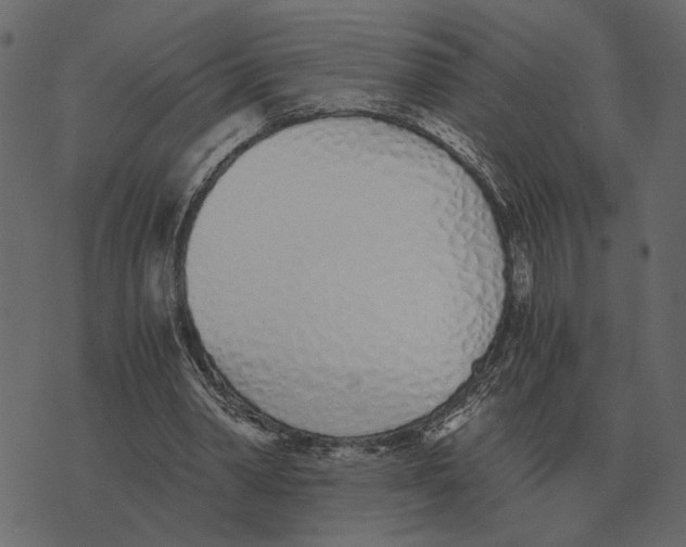 X0000073450390200608251711