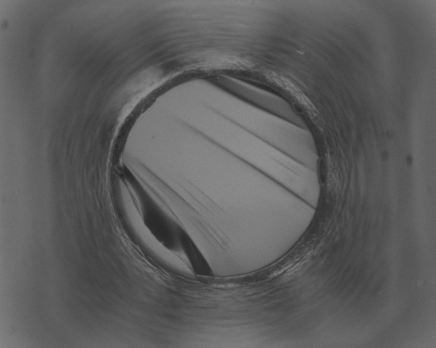 X0000073450391200608251711