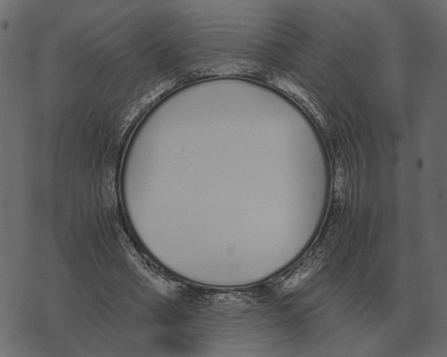 X0000073450394200608251711