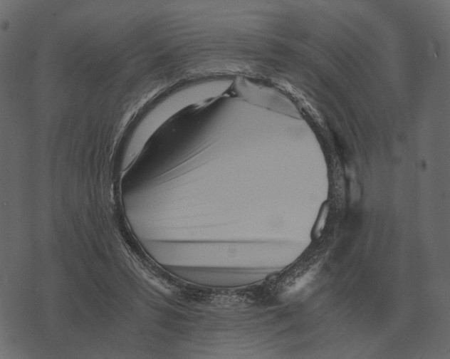 X0000073450399200608251711