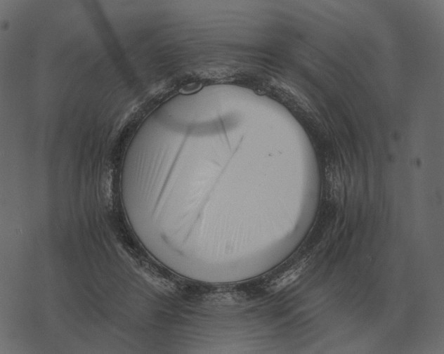 X0000073450404200608251711