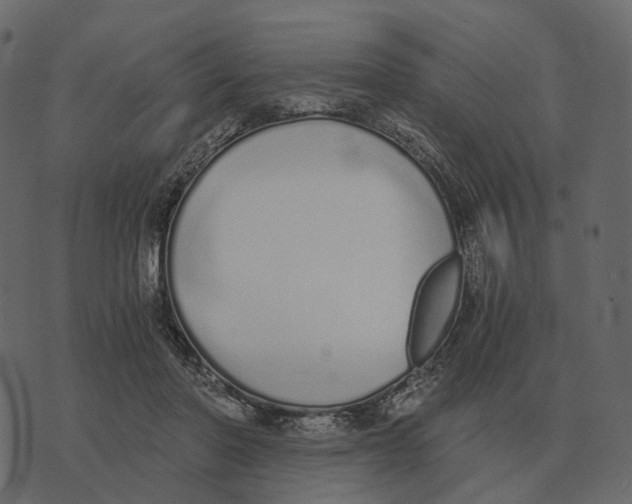 X0000073450406200608251711