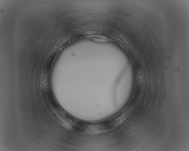 X0000073450408200608251711
