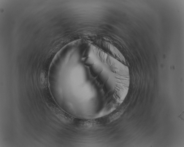 X0000073450420200608251711
