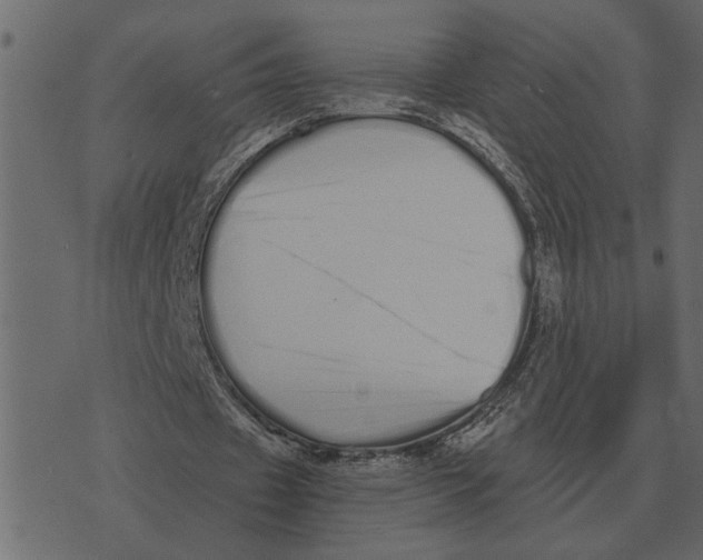 X0000073450433200608251710