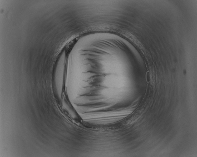 X0000073450434200608251710