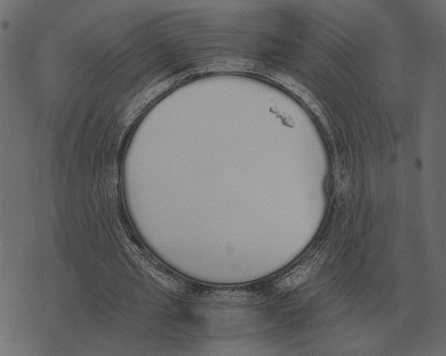 X0000073450437200608251710