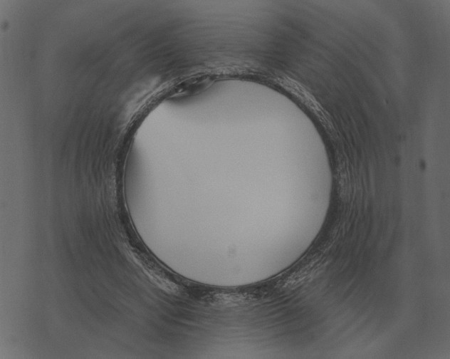 X0000073450442200608251710