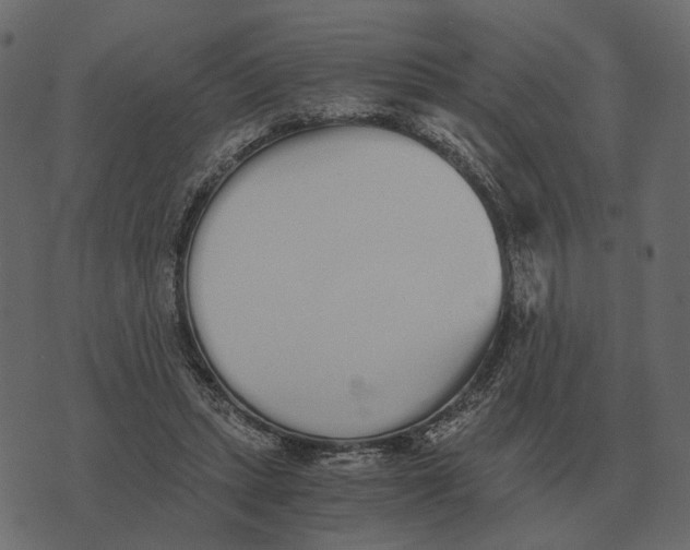 X0000073450447200608251710