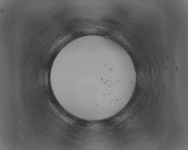X0000073450454200608251710