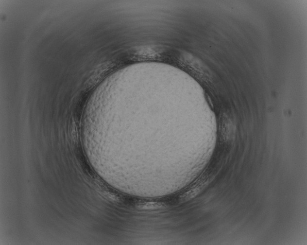 X0000073450467200608251710