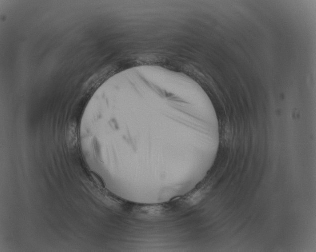 X0000073450478200608251710