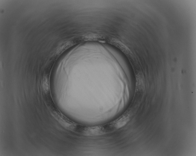 X0000073450479200608251710