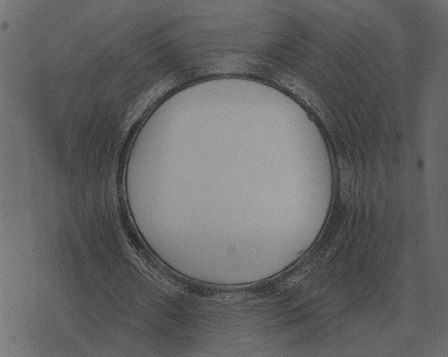X0000073450482200608251710