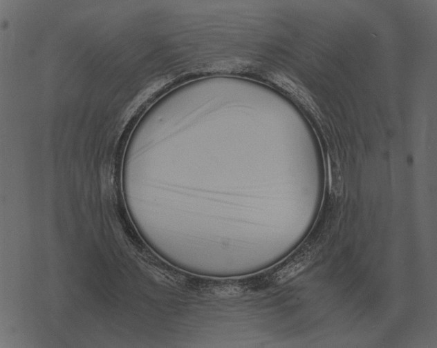X0000073450483200608251710