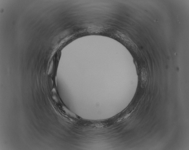 X0000073450492200608251709