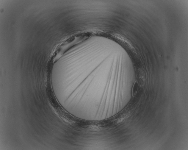 X0000073450496200608251709