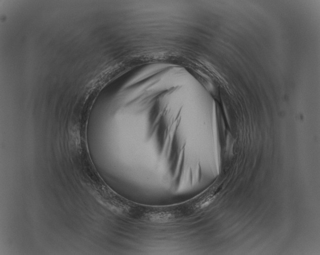 X0000073450500200608251709