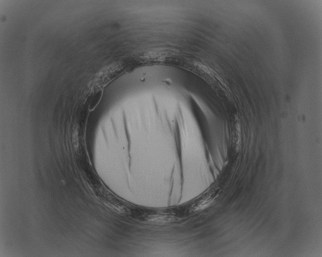 X0000073450504200608251709