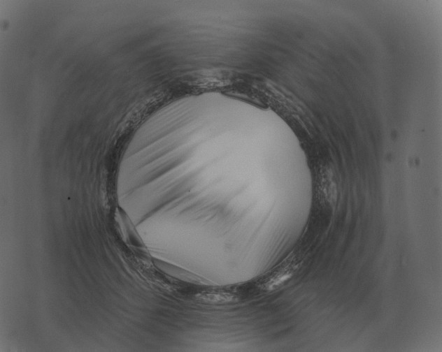 X0000073450512200608251709