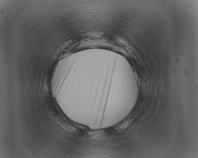X0000073450516200608251709