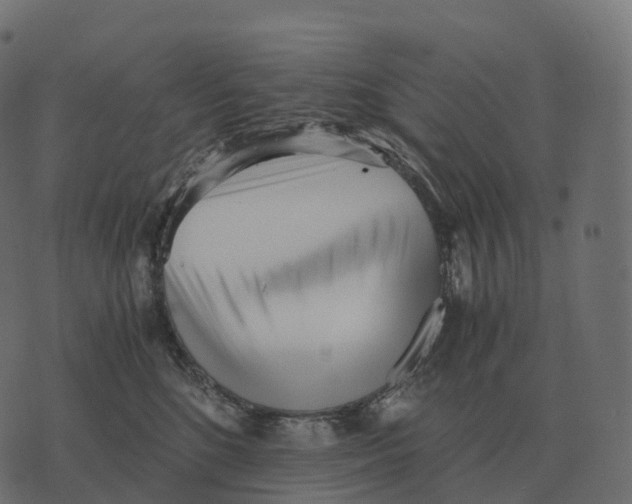 X0000073450520200608251709