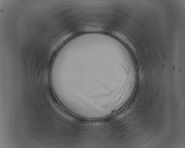 X0000073450533200608251708