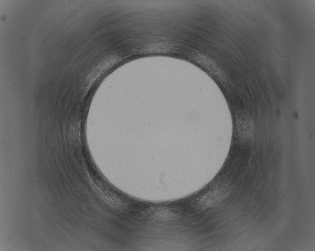 X0000073450534200608251708