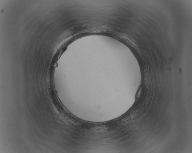 X0000073450536200608251708