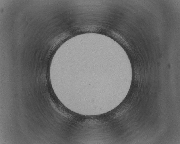X0000073450538200608251708