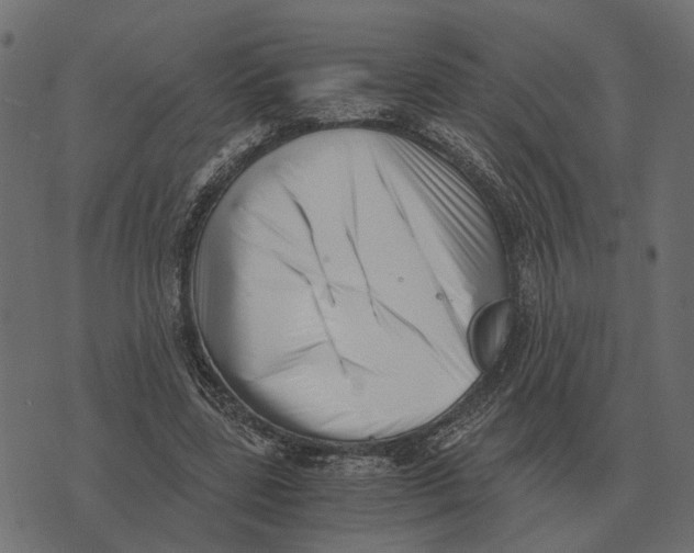 X0000073450539200608251708