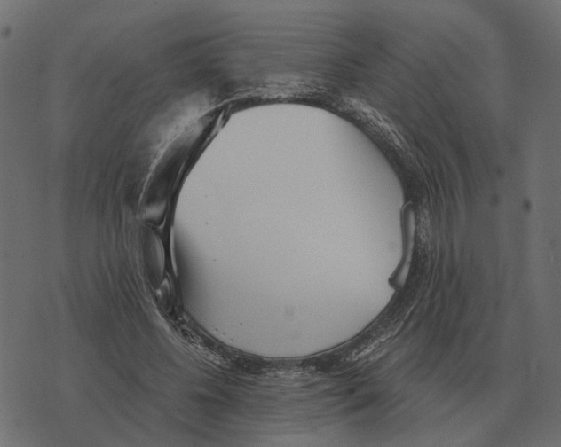 X0000073450540200608251708