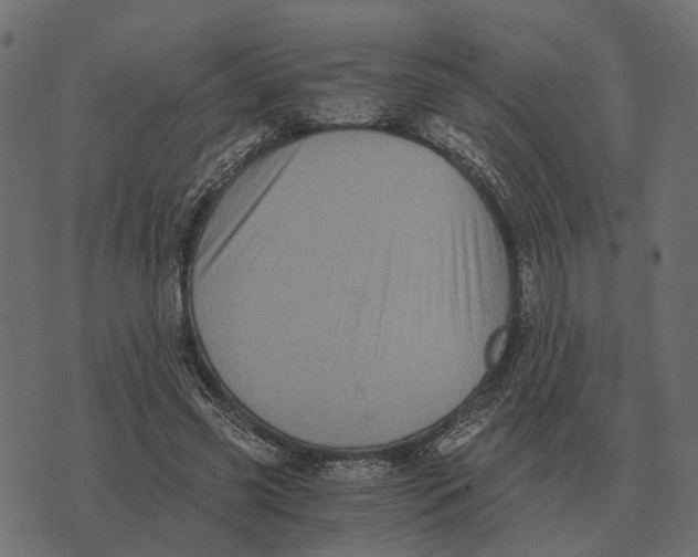 X0000073450541200608251708