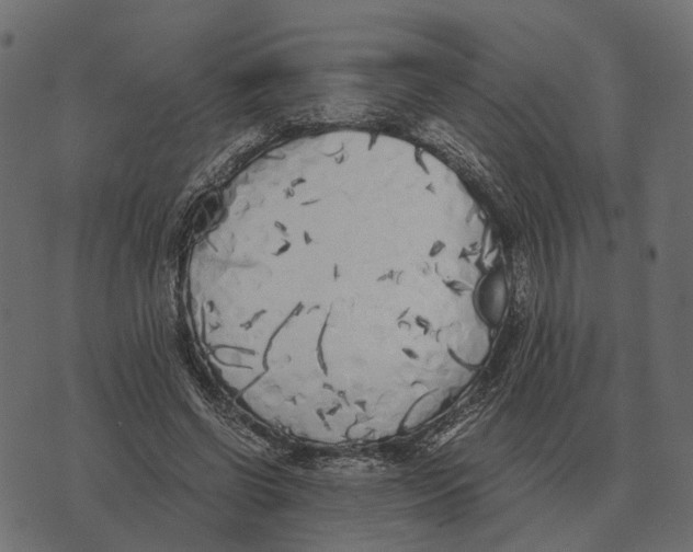 X0000073450542200608251708
