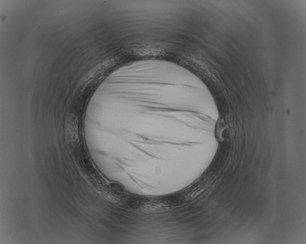X0000073450547200608251708