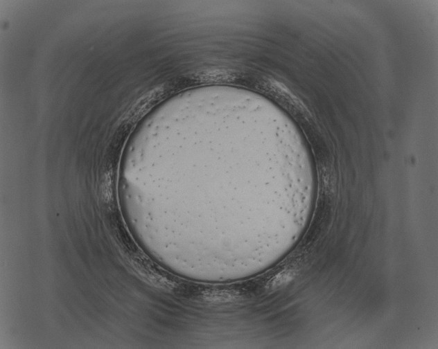 X0000073450549200608251708