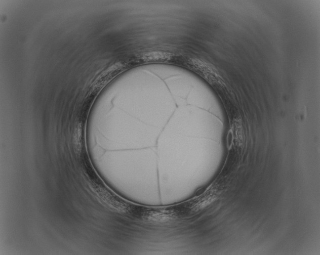X0000073450550200608251708