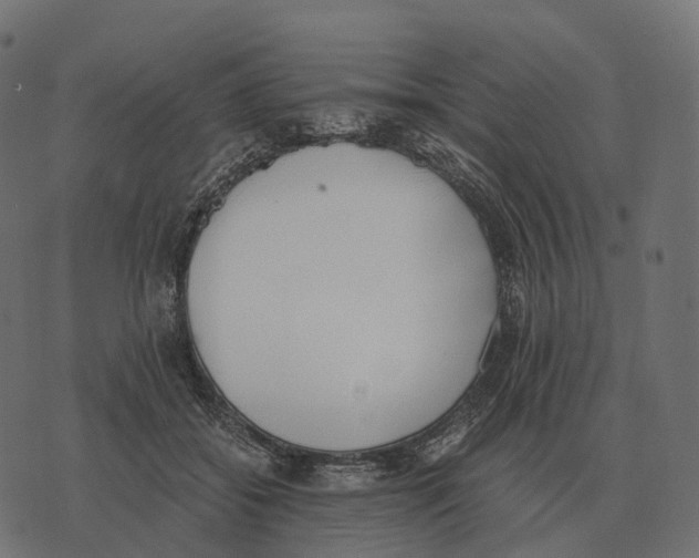 X0000073450556200608251708